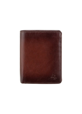 Коричневий гаманець чоловічий AT62 B/TAN David c RFID Burnish Tan Visconti (303831885)