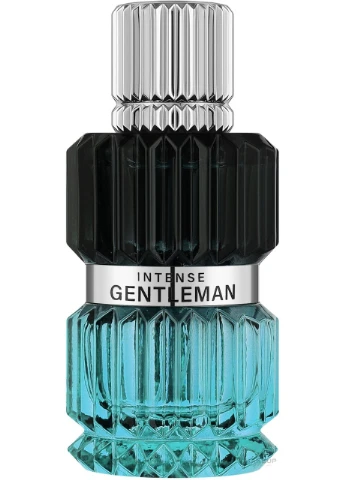 Парфумована вода чоловіча Intense Gentleman 100 мл. Mirada (365843719)