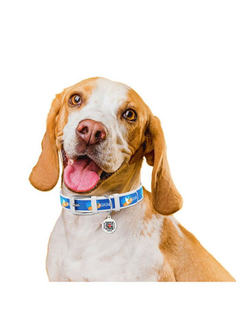 Ошейник для собак кожаный Design с QR паспортом, рисунок "Знамя",, Ш 15 мм, Длин 26-35 см, WAUDOG (362578935)