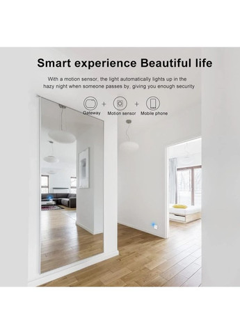 ZigBee3.0 мини PIR-датчик движения iHseno/Tuya, углы 120° до 5м, батарея CR2450 China (354827635)