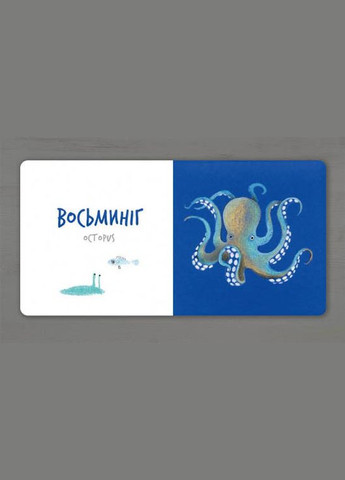 Книга картонка Морские животные Катя Табреко (9786177395170) Artbooks (316081527)