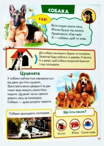 Велика книга знань для малюків подарункова збірка - абетка, лічба, тварини, динозаври, атлас світу, Пегас (316084231)