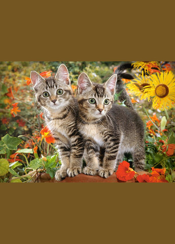 Пазл 1500 ел. " " (Польша) / Друзья котенка Castorland (342416176)