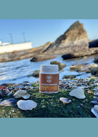 Кордицепс военный в таблетках 60 шт по 0,4 г Лісовик (334292810)