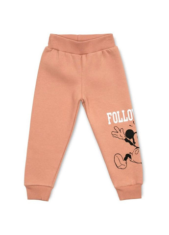 Спортивний костюм флісовий (23197-92G-brown) Smile (300857242)