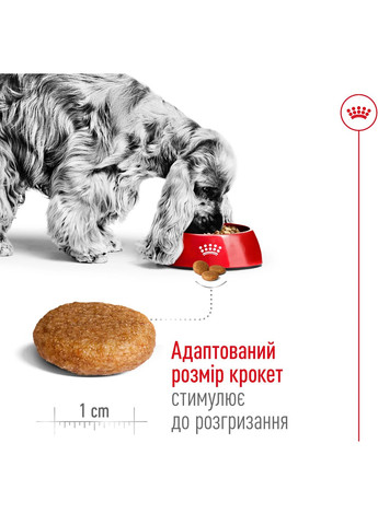 Сухий корм MEDIUM ADULT для дорослих собак середніх порід 3.2 кг + 800 г у подарунок Royal Canin (368822079)