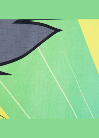 Воздушный Летающий Змей 2 в 1 Статический Управляемый IZYPILOT Разноцветный ORAO (348116978)