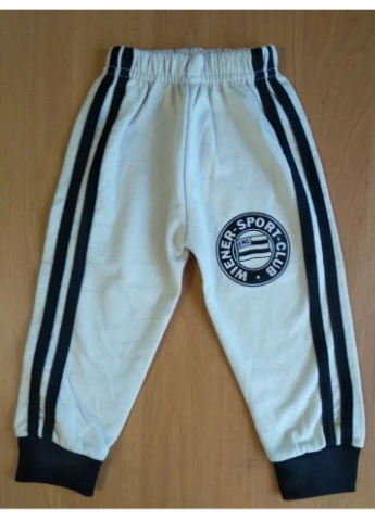 Штани дитячі спортивні Емблема No Brand (372448391)