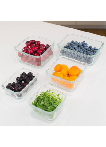 Контейнер miFamilia 1000 мл Nested collection (6034) Mi Familia (316034640)