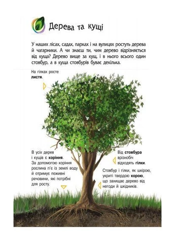 Дитяча енциклопедія про природу для дошкільнят 614008 Ranok Creative (393937130)