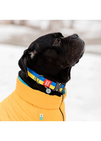 Ошейник для собак нейлоновый WAUDOG Nylon с QR паспортом, рисунок "Colors of freedom", пластиковый фастекс,, Ш 25 мм, Дл 33-49 No Brand (363198853)