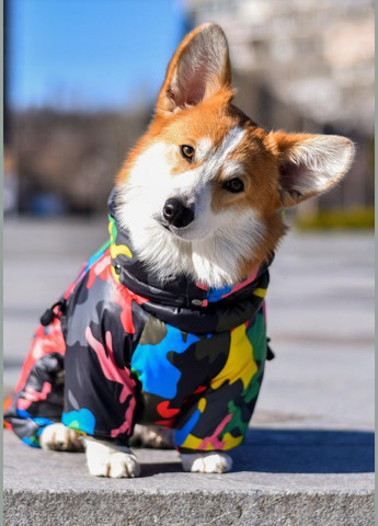 Комбинезон для собак Hunter Winter, (*) SmartPet (323153233)