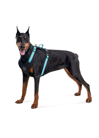 Шлея для собак безпечна Nylon Металева пряжкафастекс, L, Ш 25 мм, А 55-85 см В 65-85 см Блакитний WAUDOG (279563959)