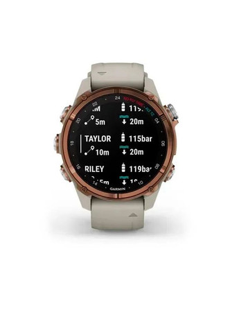 Смарт-часы Garmin (359479382)