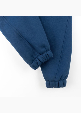 Детский теплый костюм Dexter`s на флисе blue dexter's (304547893)