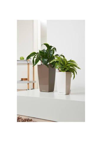 Кашпо Maxi Cubi White (18050) Lechuza (323204384)