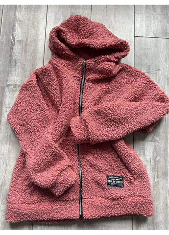 Пудровая куртка тедди без подклада, с капюшоном на молнии Україна