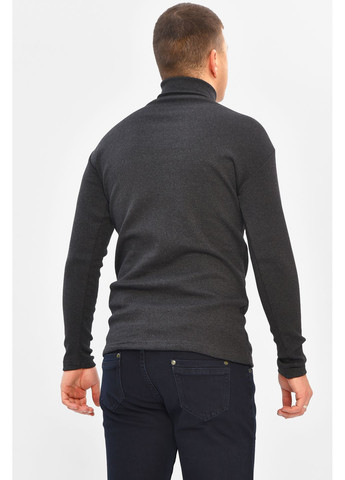Гольф чоловічий однотонний на флісі темно-сірого кольору Let's Shop (367180002)