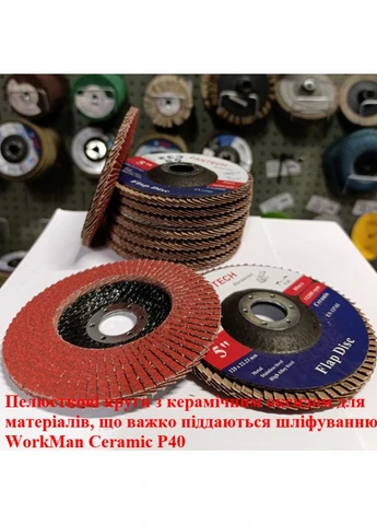 Круг пелюстковий Ceramic P40 торцевий 22,2;125 для КШМ 00000053485, діаметр 125 мм, зернистість P40 Workman (395901722)