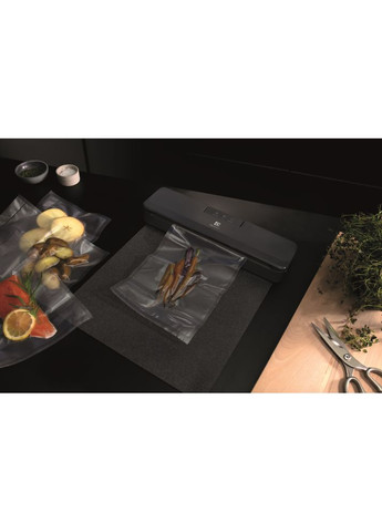 Вакууматор E4VS1-4AG Electrolux (360418178)