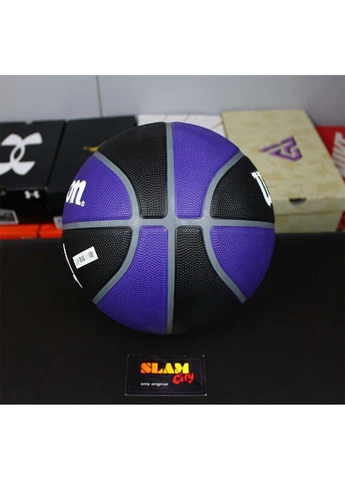 М'яч баскетбольний NBA TEAM Tribute SAC KINGS size 7 Wilson (367595724)