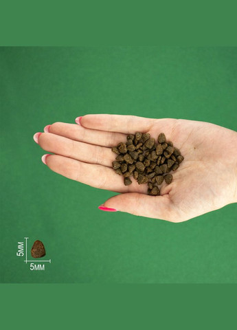 Сухий корм Chicken Cat Kitten для кошенят з куркою 600 г (8436538947739) Bravery (300288730)