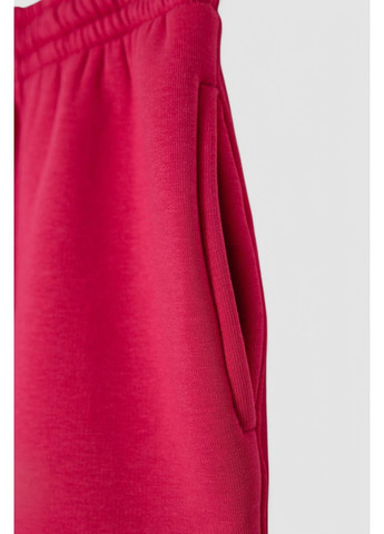 Спортивний костюм дитячий на флісі, 102R1520 Ager (362220842)