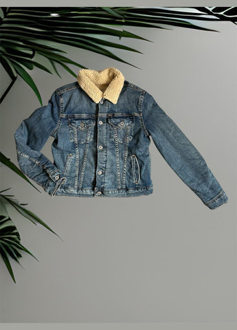 Синя демісезонна куртка Ralph Lauren Polo