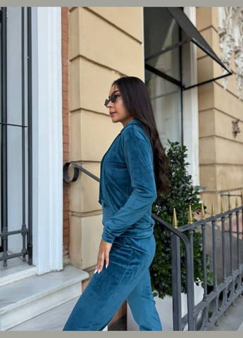 Спортивний велюровий костюм LeVi (316466741)