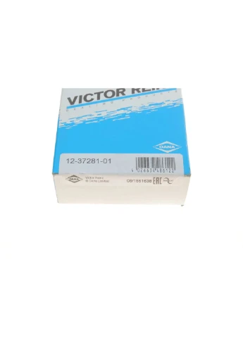 Комплект сальників клапанів IN/EX BMW N42/N46/N62 (16PCS) 12-37281-01 Victor Reinz (366166044)