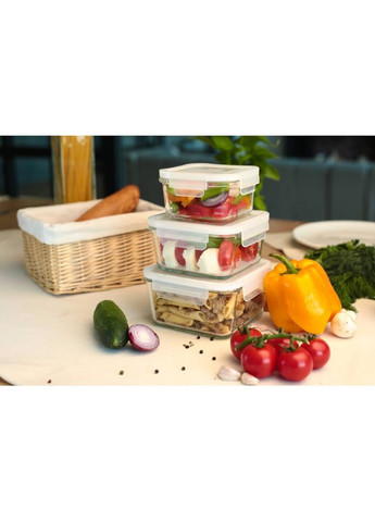 Контейнер miFamilia 1000 мл Nested collection (6034) Mi Familia (316034640)