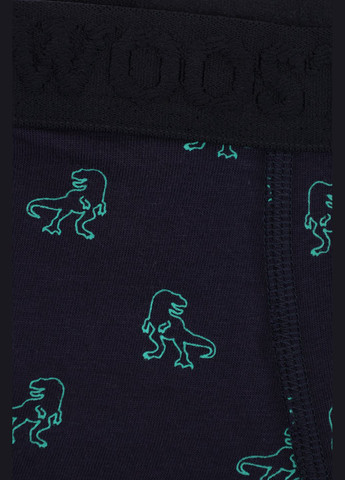 Труси-боксери для хлопчика колір темно-синій CB-00281051 Wooster (340717353)