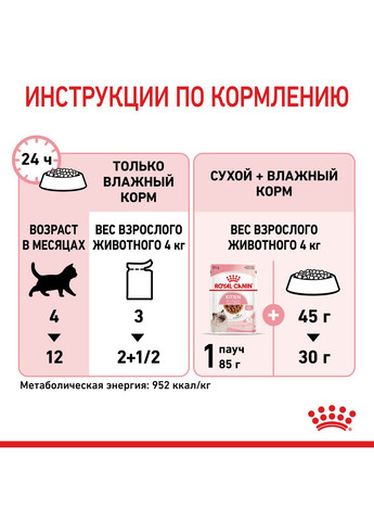 Вологий корм для кошенят Kitten Chunks in gravy, 85 г Royal Canin (308342577)