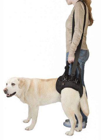 Підтримка для задніх лап "трусами" розмір М+ Чорний Frakishtak (304771263)