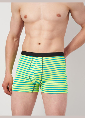 Труси (3шт) Basic Collection (295404440)