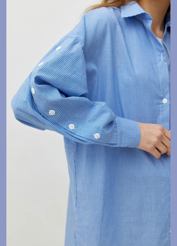 Синя демісезонна жіноча бавовняна сорочка біла в синю смужку mkrm4085-1 Modna KAZKA