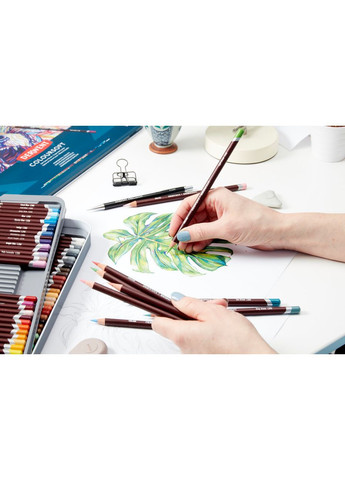 Цветные карандаши Coloursoft 24цв. Derwent (362581161)