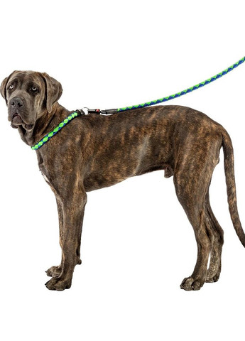 Повідець з автоматичним гачком для собак Twist Matic G (Ферпласт Твіст Матіс Джі) Ferplast (297512372)