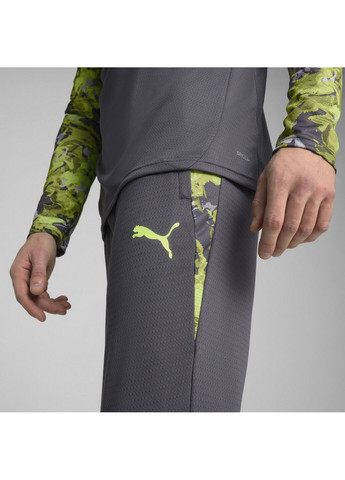 Серые спортивные демисезонные брюки Puma