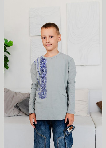 Сіра джемпер для хлопчика з принтом-вишивкою прямого крою hc (h001-6363-1) (302447877)