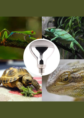 DERNORD Ртутна лампочка 100 Вт для Черепах та Віварію E27 No Brand (300657401)