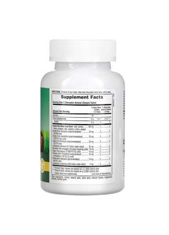 Ферментна добавка для підтримки травлення у дітей, Tummy Zyme Chewable - 90 tabs Nature's Plus (366031344)