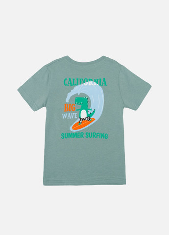 Оливкова літня футболка з коротким рукавом для хлопчика колір оливковий цб-00243907 Essu