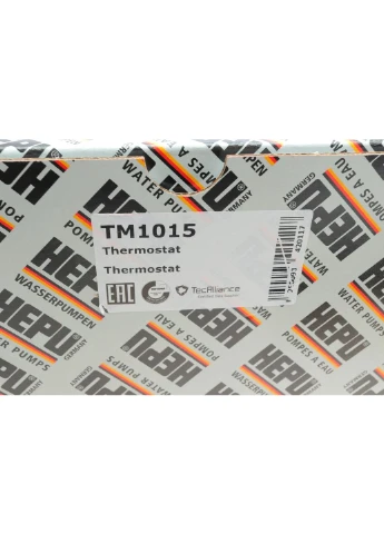Термостат TM1015 HEPU (361005067)