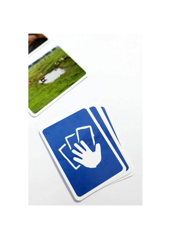 Настольная игра "Иллюстрации" FGS41 на украинском языке Fun Games (304972998)