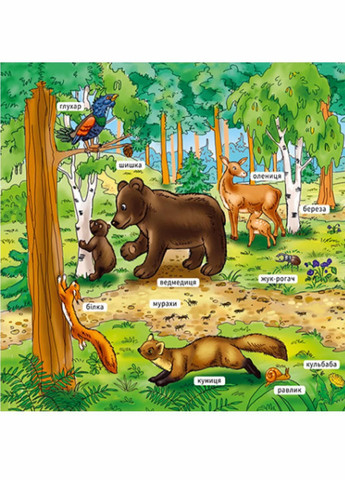 Мой первый словарик : В лесу. А116032У 9789667510749 РАНОК (289718740)