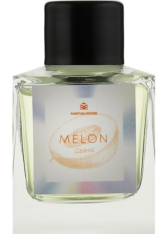 Диффузор "Дыня" by Ameli Homme Diffuser Melon 50ml (952078-46202) Parfum House (368634486)
