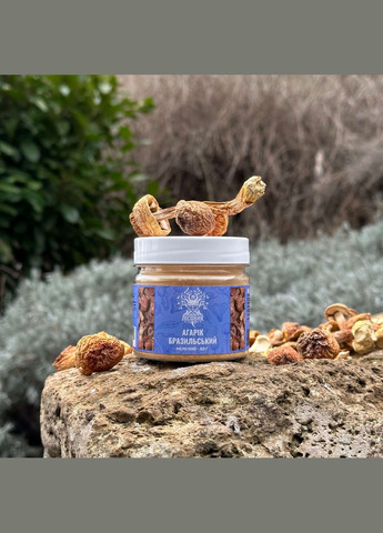 Агарик бразильский, молотые плодовые тела 50 г Лісовик (334292907)