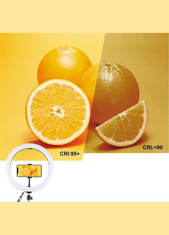 Кольцевая USB RGBW LED лампа PKT3043 10"+ штатив 1.1 м Puluz (314749756)