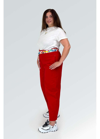 Штани Zanessi (300795044)